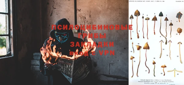 дмт Алзамай