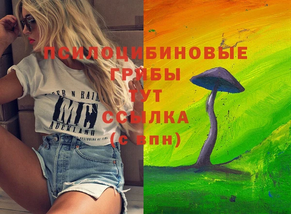 дмт Алзамай