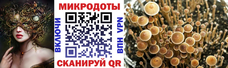 Галлюциногенные грибы Magic Shrooms цена Иланский